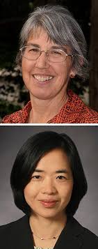 Virtual lecture series to highlight women advancing river research