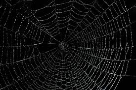 In addition to png format images, you can also find spider web vectors, psd files and hd background images. Cartoon Spider Web Wallpapers Top Free Cartoon Spider Web Backgrounds Wallpaperaccess