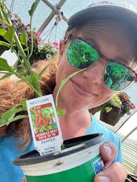 Brewer's Greenhouse is open every Sunday 11-3 and Mondays through Saturdays  9-5:30. Large selection of beautiful flowers, tasty veggies and herbs,  hanging baskets, potted plants, and lots of smiles! Come grow with