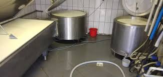 Ceny skupu mleka 2026. Rolnicy pokazują stawki i pytają, gdzie jest dno