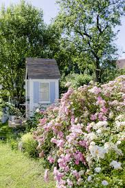 Viele interessante und sehenswerte ausflugsziele befinden sich in. Mediterraner Flair Und Sommer Auf Der Terrasse Pomponetti Mediterrane Pflanzen Wohnen Und Garten Garten Pflanzen
