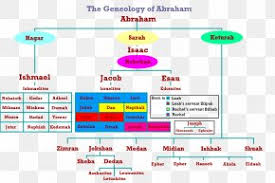 Abrahams Family Tree Genealogy Lineage Png 1157x1029px