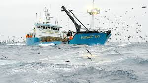 The beauty of the #BeringSea 🌊🦀 Don't miss a new #DeadliestCatch tonight  at 8p on @discovery!
