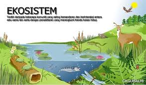 Check spelling or type a new query. Saling Bersandaran Antara Organisma Hidup Spesies Populasi Komuniti Habitat Dan Ekosistem