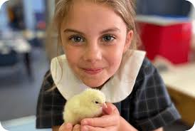 Fostering empathy & care