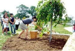 Japanese Garden Lima Oh Official Website