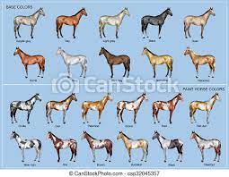 50 coloriage cheval au galop. Image En Coulere Cheval Au Pat A Imprimer Gratuit Tout Savoir Sur L Anatomie Du Cheval Momes Net Il Est Livre Dans Un Tube Inspire Par Donnetta Worcester