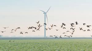 Michigan indian youth traditional values conference, mackinak island, michigan Bloody Wind Turbine Carnage An Emotional Report From Germany Windmills Kill