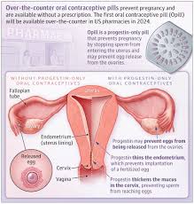Image result for Pregnane Progestin