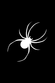Spooky Spider Icon Goth Wallpaper Black And White Art Drawing Halloween Icons