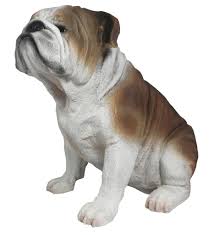 The dog's head is large and spherical, and the muzzle is extremely short, giving the face a flattened appearance. Dekofigur Hund Englische Bulldogge Winston Kaufland De
