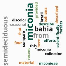 Image result for Memecylon afroschismaticum