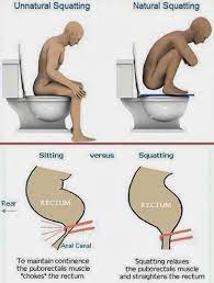 Just Bought A Squatty Potty Toilet Stool The Something Awful Forums
