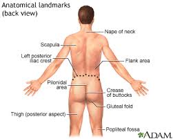 Flank Pain Information Mount Sinai New York
