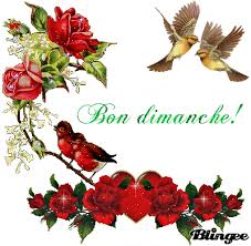 RÃ©sultat de recherche d'images pour "une image gif je te souhaite un trÃ¨s bon dimanche"