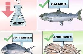 Pregnancy Fish Chart What Fish Are Safe To Eat During