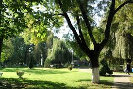 Maybe you would like to learn more about one of these? Lista Parcurilor OrÄdene