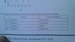 Apakah angka 37 derajat celcius? Grafik Berikut Merepresentasikan Pengaruh Ph Terhadap 3 Enzim Yang Berbeda Pada Suhu Tubuh Normal Brainly Co Id