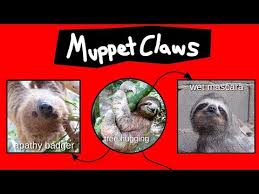 Muppet Claws Explained Youtube