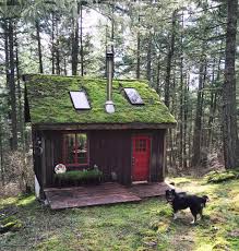 Woodland Keep On Instagram When You Keep Coming Back To The Cabin Of Your Dreams That Basically Looks Like The Ones From All Y Shack Ideas Cabin Wooden Shack