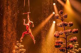 Cirque Du Soleil Luzia Grand Chapiteau At The Orange