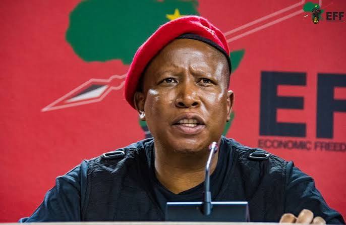Malema backs grassroots mayor system, defends Dunga – Y WORLD