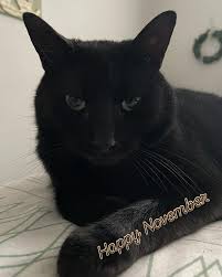 Tabitha Goodale (@tabithaballmusic) • Instagram photos and videos