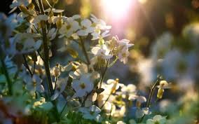 Postat februarie 18, 2019 (editat). Prognoza Meteo DuminicÄƒ 3 Martie 2019 Vremea In BucureÈ™ti IaÈ™i ConstanÈ›a BraÈ™ov È™i Cluj Valorile Termice Vor Fi Constante Stiri Mondene