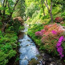 We did not find results for: Beautiful Garden With Blooming Trees During Spring Time Wales Uk Stock Photo Picture And Royalty Free Image Image 125530730