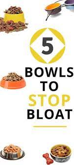 Cynthia Vanderwalker Cvanderwalk0756 - Profile Pinterest