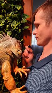 Greedy boy 😁.....#reptiles #petsofinstagram #iguana #pet  #reptilesofinstagram #cuddles #bhfyp #foryou #cuteanimals #reelsinstagram  #explorepage #reptilelover #pets #petstagram