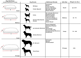 Dog Bed Size Perros