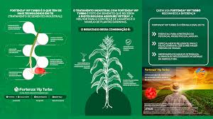 Fortenza® Vip Turbo | Portal Syngenta
