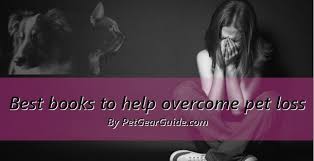 A man warming up on a treadmill for a group fitness class said he felt lucky to be alive after a car. Top 10 Best Books To Help Overcome Pet Loss Updated 2020