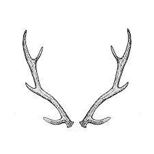 Antlers is a castle in the crownlands, the region controlled directly by the iron throne in king's landing. Antlers By Tea Leigh From Tattly Temporary Tattoos