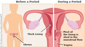 However, around the time their period is due, a person may. All About Periods For Teens Nemours Kidshealth