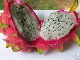 Pin On Healthy