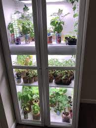Diy indoor greenhouse cabinet from an old display cabinet furniture refinishing · gardening reuse an old display cabinet to make an indoor greenhouse with grow lights and mini fans to create the perfect environment for starting seeds indoors or for housing happy indoor plants year round. How To Build An Indoor Greenhouse The Easy Way Sky S Succulents