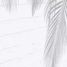 Check spelling or type a new query. White Aesthetic Tumblr White Aesthetic Black And White Aesthetic White Feed