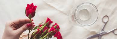 Maybe you would like to learn more about one of these? Roel Flowers El Paso Flowers