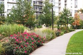 Native Plants At The Park At Lakeshore East Lakeshoreeast Chicago Chicagoparkdistrict Chicago Landscape Urban Design Architecture Landscape Architecture