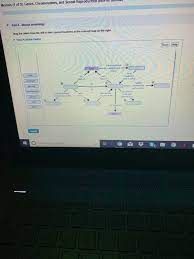 This is the currently selected item. Meiosis 1 Of 3 Genes Chromosomes And Sexual R Chegg Com