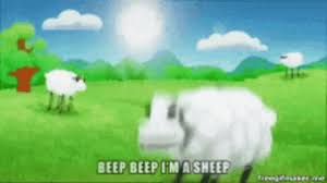 Beep Beep Sheep GIF | GIFDB.com