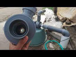 Pin Di Jual Telur Jangkrik Murah