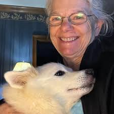 I have been asked to try to find a white female or black German gross spitz  that could fly back with me from Brussel