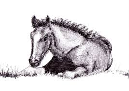 Dessin De Cheval Apprendre à dessiner un cheval en quelques étapes simples. dessin de cheval