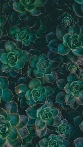 Search your top hd images for your phone, desktop or website. Vintage Mint Green Aesthetic Wallpaper