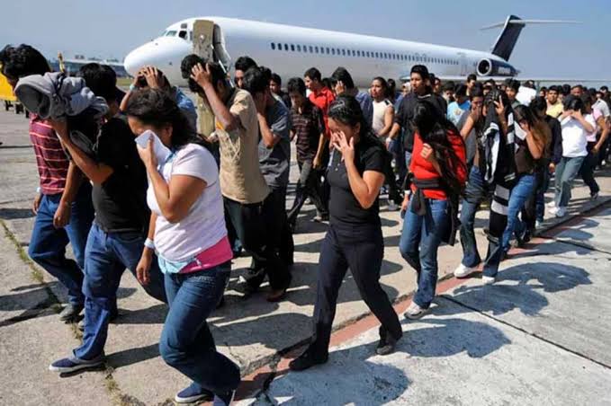 Cree usted que #republicadominicana🇩🇴 podrá abogar por los dominicanos que son deportados desde Estados Unidos? .El dominicano que está ilegalmente en #eeuu🇺🇸 debe gestionar regresar de forma voluntaria . Eso es lo