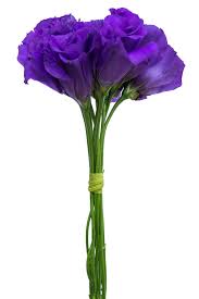 Image result for eustoma lisianthus in vase