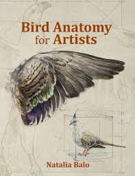 At least one book that you rely upon as your ultimate reference—the book you go to for the final answer. Bird Anatomy For Artists Nhbs Academic Professional Books